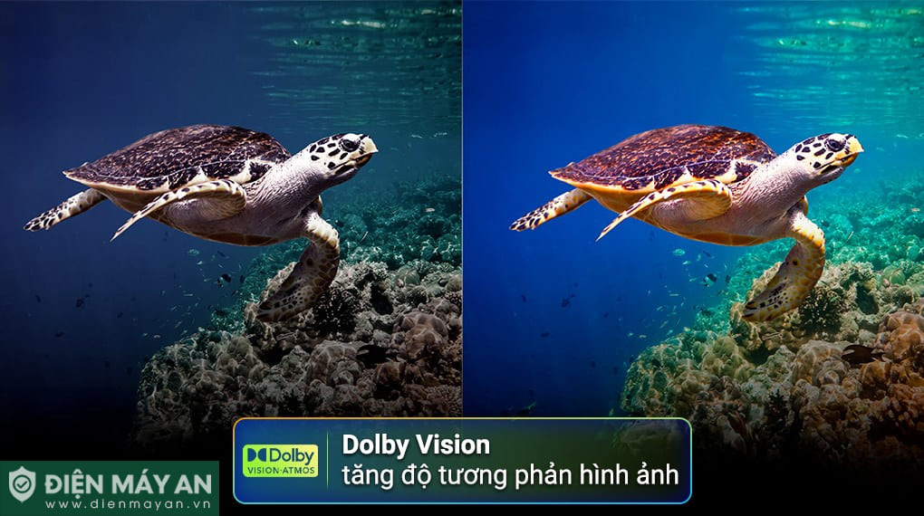 Smart Tivi Toshiba AI 4K 65 inch 65C350RP